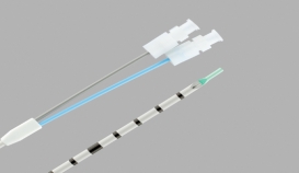 Dual Lumen Ureteral Access Catheter