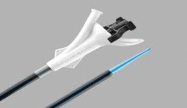 Flexor® DL Dual Lumen Ureteral Access Sheath